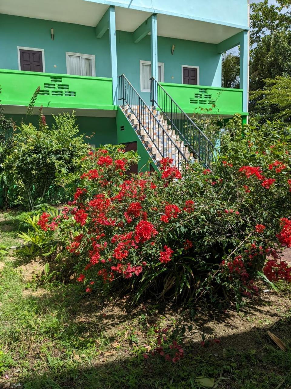 De Kolibrie Appartementen Paramaribo Kültér fotó
